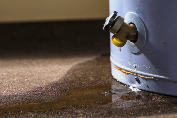 Best Ceiling water damage repair  in Frankfort, KY