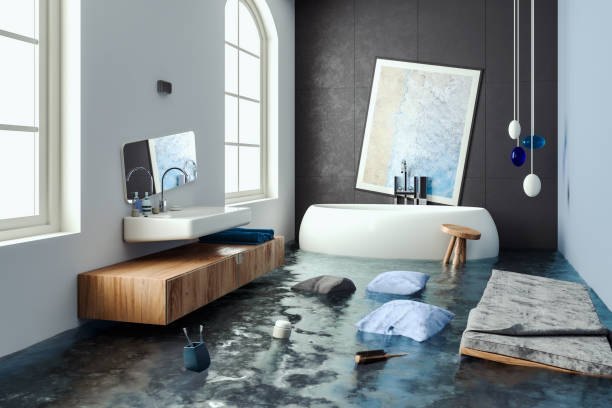 Best Mold removal after water damage  in Frankfort, KY