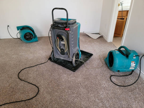 Best 24/7 water damage repair  in Frankfort, KY