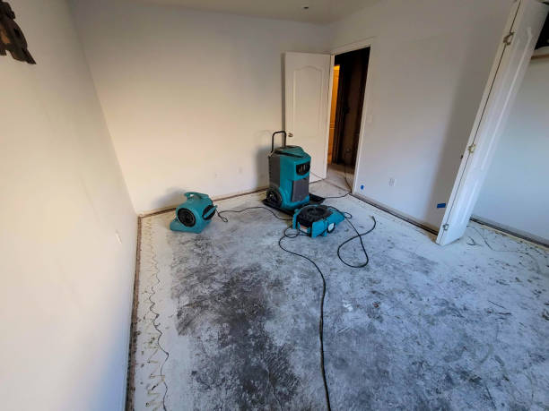 Best Ceiling water damage repair  in Frankfort, KY