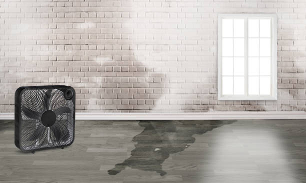Best Emergency water damage restoration  in Frankfort, KY