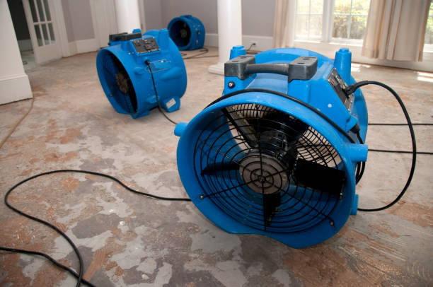 Best Flood restoration services  in Frankfort, KY