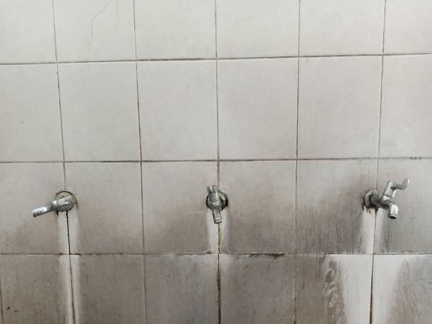 Best Flood damage cleanup  in Frankfort, KY