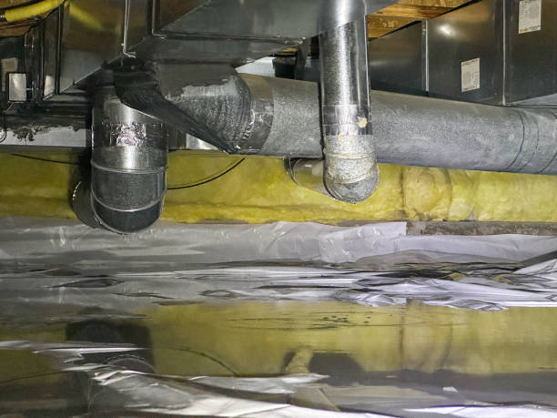 Reliable KY Water damage restoration Solutions