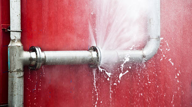 Best Water damage contractors near me  in Frankfort, KY